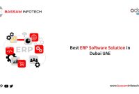 The Top ERP Software Options In Dubai