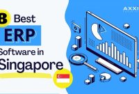 Everything You Need To Know About ERP Software In Singapore